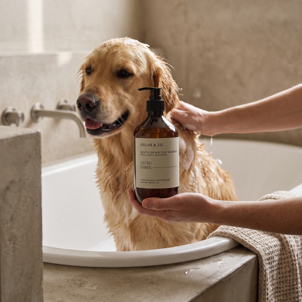 Dog or cat coat washed with Uluru Ember pet shampoo