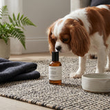 Oscar & Zo Daintree Murmur pet grooming fragrance