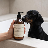 Oscar & Zo Freycinet Nocturne pet shampoo for dogs and cats