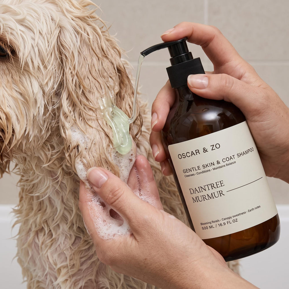Dog or cat coat washed with Daintree Murmur pet shampoo