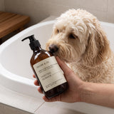 Oscar & Zo Daintree Murmur pet shampoo for dogs and cats