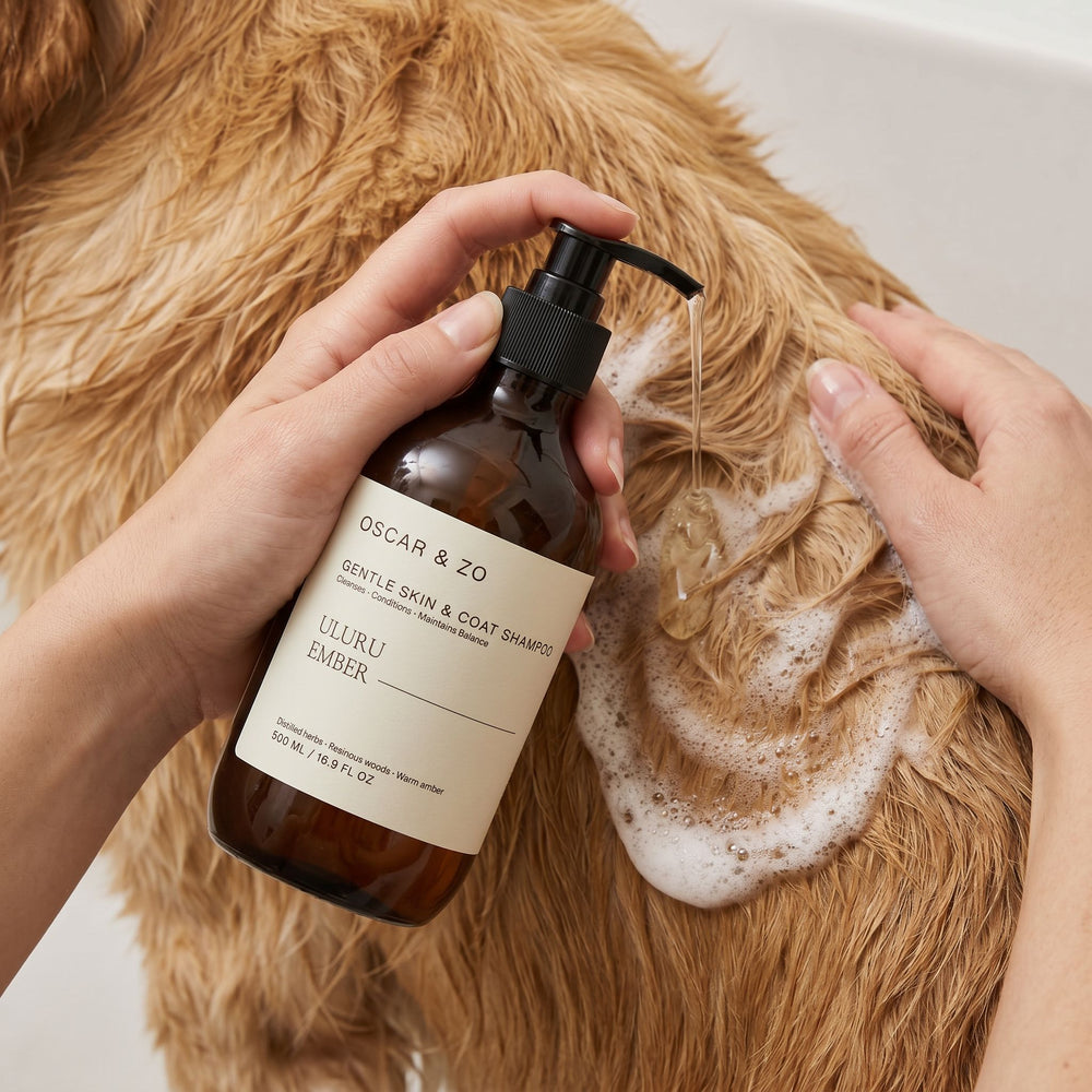 Dog or cat coat washed with Uluru Ember pet shampoo