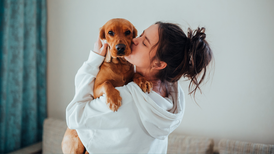 Thoughtful Dog Grooming Gifts for Every Kind of Pet Parent