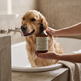 Dog or cat coat washed with Uluru Ember pet shampoo
