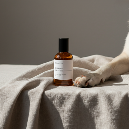 Daintree Murmur 50mL