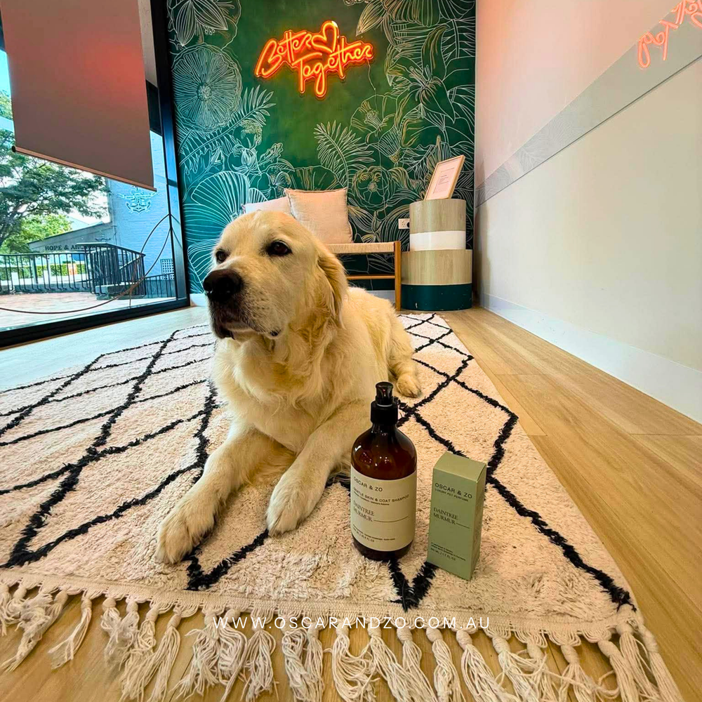 Pet shampoo and alcohol-free fragrance set for dogs and cats
