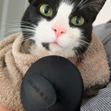 Silicone massage brush used with pet shampoo