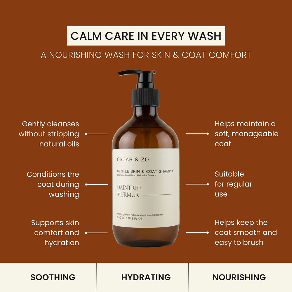 Daintree Murmur pet shampoo bottle and packaging
