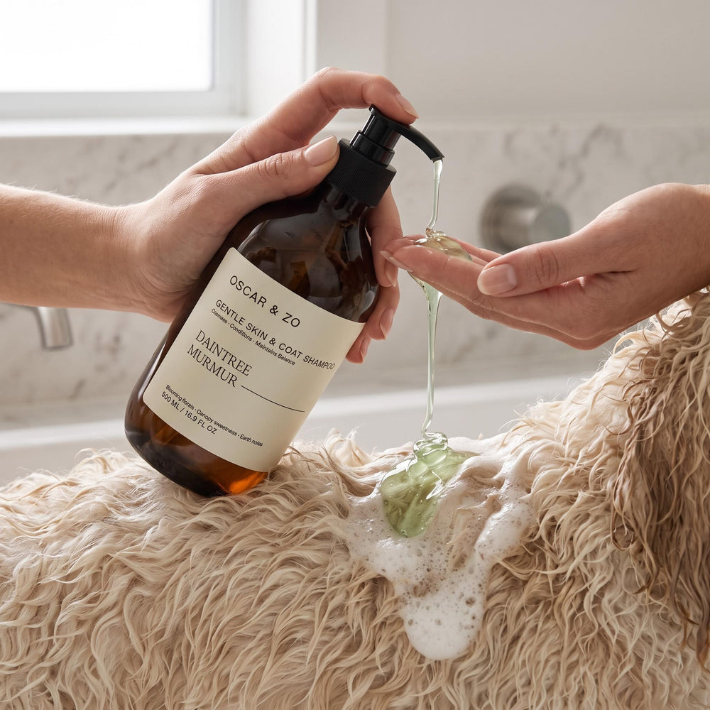 Dog or cat coat washed with Daintree Murmur pet shampoo