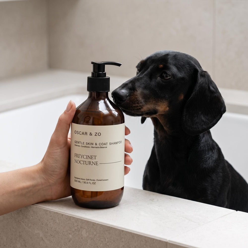 Oscar & Zo Freycinet Nocturne pet shampoo for dogs and cats