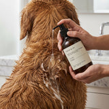 Dog or cat coat washed with Uluru Ember pet shampoo
