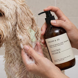 Dog or cat coat washed with Daintree Murmur pet shampoo