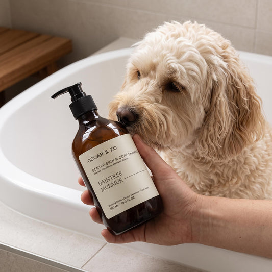 Oscar & Zo Daintree Murmur pet shampoo for dogs and cats
