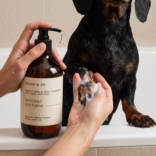 Oscar & Zo Freycinet Nocturne pet shampoo for dogs and cats