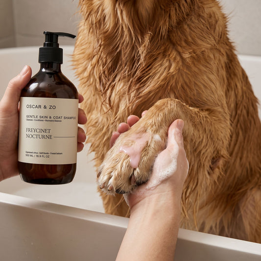 Skin & Coat Shampoo | Freycinet Nocturne